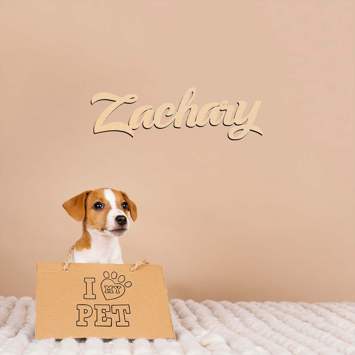 1pc home decor Zachary example - đánh giá và giá Home Decor Examples